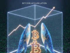 Bitcoinové „silné ruky“ sú späť, ukazujú on-chain dáta